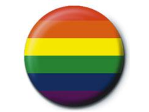  Pride Flag Pin Badge
