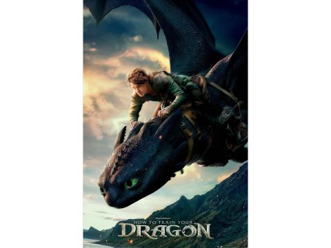 Official Maxi Poster – How To Train Your Dragon