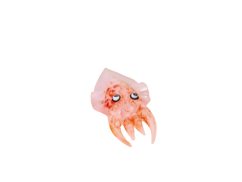 GLASS CUTTLEFISH ORNAMENT - MOTTLED PALE PINK