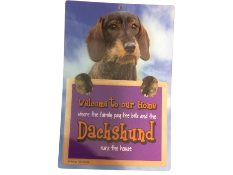 Dachshund (Rough Coat) Welcome Hang-up