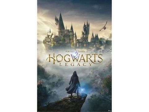 Pyramid International Hogwarts Legacy posters Hogwarts Wizarding World Universe 61 x 91 cm