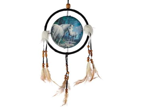 Lisa Parker The Journey Home Dreamcatcher (16cm )
