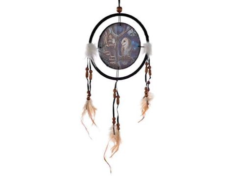 Lisa Parker Fairy Tales Owl & Fairy Dreamcatcher 16cm 
