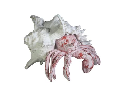 Coral Creatures - Hermit Crab, 19cm