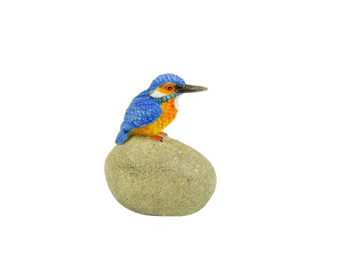 Kingfisher on Stone