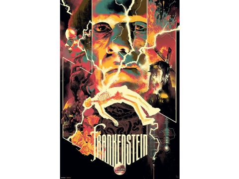 Universal Monsters Frankenstein 61 x 91.5cm Maxi Poster