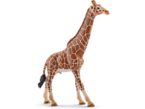 SCHLEICH Giraffe, male Wild Life Toy Figurine for children aged 3-8 Years