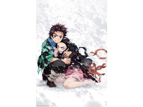 Demon Slayer Tanjiro & Nezuko Snow 61 x 91.5cm Maxi Poster 