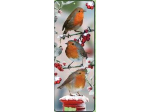 Robins Lenticular Bookmark Ruler