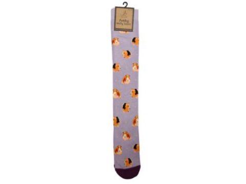 Funky Welly Socks - Guinea Pig