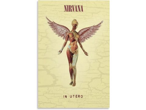 Nirvana Poster - In Utero - Official 91.5 x 61cm Maxi Poster 