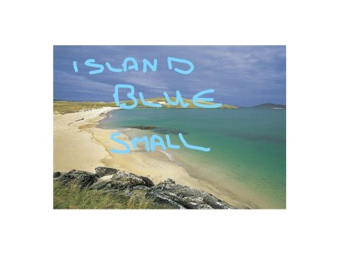 Postcard Island Blue Small