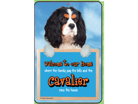 Cavalier (Tri-Colour) Welcome Hang-up