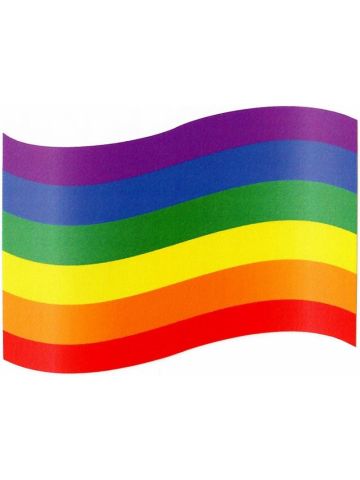 LGBT Rainbow Sticker - 6 Colors Rainbow Peace Flag Pride 9 x 7cm