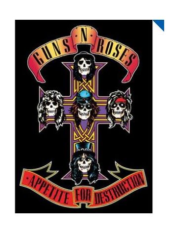 GUNS N ROSES APPETITE FOR DESTRUCTION POSTCARD PRINT A6 (1 CARD SUPPLIED)