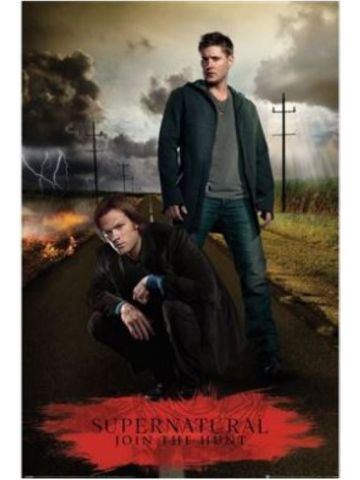 SUPERNATURAL (HEAVEN AND HELL) MAXI POSTER