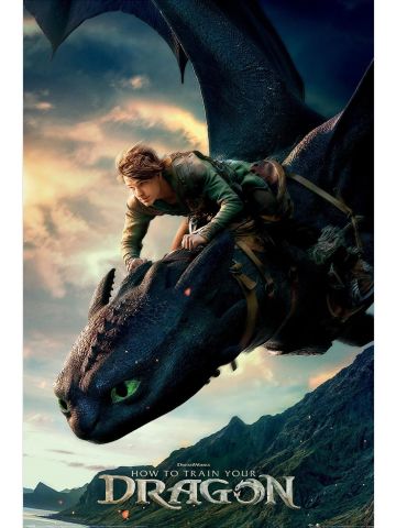 Official Maxi Poster – How To Train Your Dragon