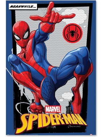 Spider-Man (Meanwhile) Maxi Poster