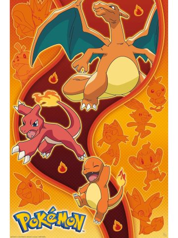 Pokémon Fire Type 61 x 91.5cm / 24.2 x 35.8 inches Maxi Poster