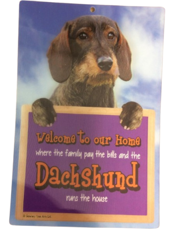 Dachshund (Rough Coat) Welcome Hang-up