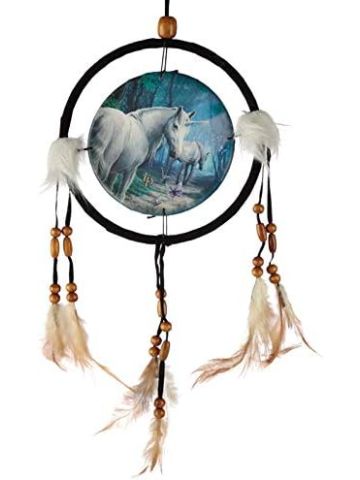 Lisa Parker The Journey Home Dreamcatcher (16cm )