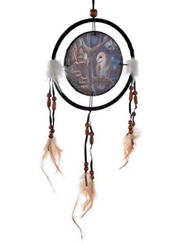 Lisa Parker Fairy Tales Owl & Fairy Dreamcatcher 16cm 