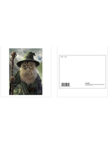 CATDALF SINGLE POSTCARD A6 (1 CARD SUPPLIED)