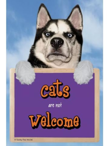 CATS ARE NOT WELCOME sign Siberian Husky  Hang-up