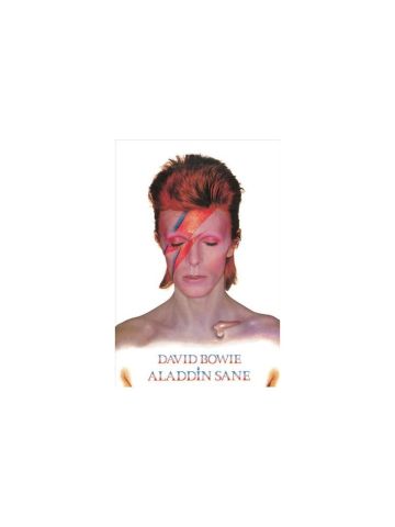 David Bowie Aladdin Sane Maxi Poster