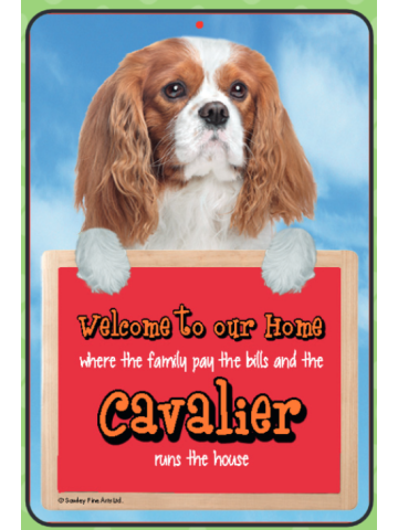 Cavalier (Benheim) Welcome Hang-up