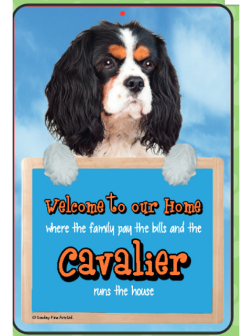 Cavalier (Tri-Colour) Welcome Hang-up
