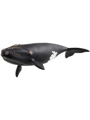 SCHLEICH NORTH ATLANTIC RIGHT WHALE