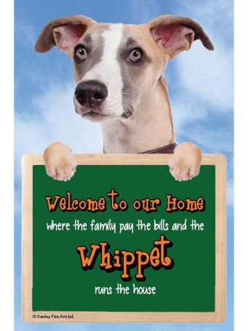 3D WHIPPET DOG WELCOME SIGN STUNNING EYE CATCHING 23CM X 15CM DURABLE SIGN 
